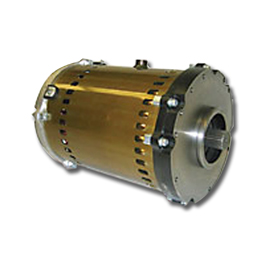 TSP Motor Medium
